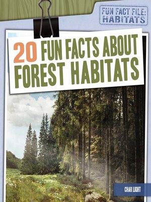 cover image of 20 Fun Facts About Forest Habitats